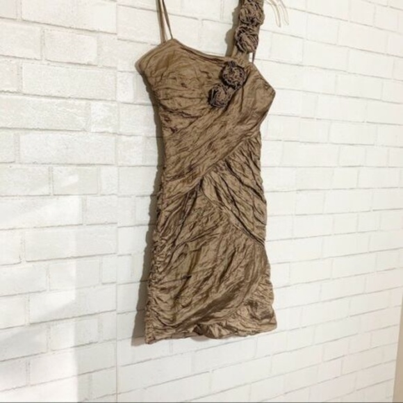 BCBG Maxizara Fatigue Brown Copper Evangeline - Picture 7 of 13